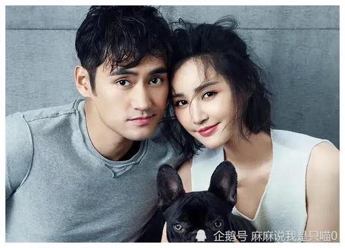 娱乐圈吃瓜爆料哇唧唧哇