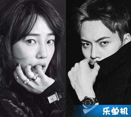 影视娱乐吃瓜合集视频大全,吃瓜合集，带你领略娱乐圈幕后风云